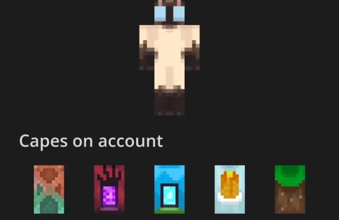 [Code A396] Java + Bedrock Edition / 5 Cape / Full Access