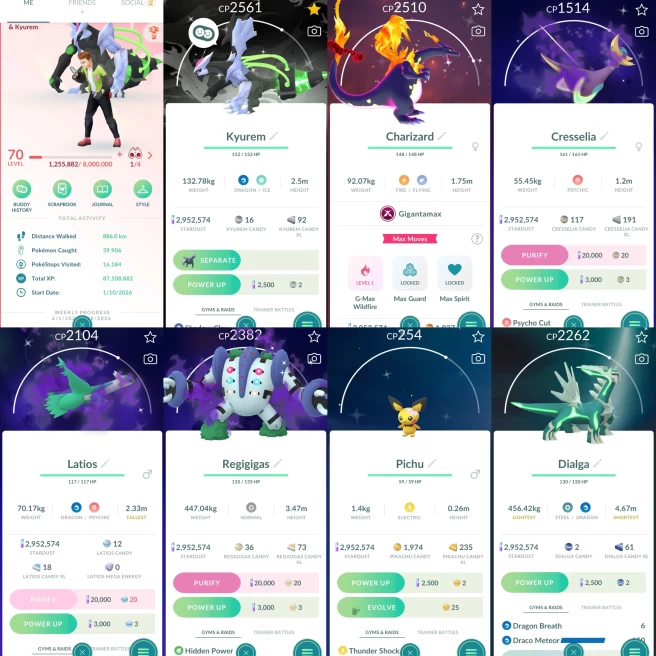 2328 Level 70 Shiny Black Kyurem Cool BG Shiny GMax Charizard Shiny Larvesta