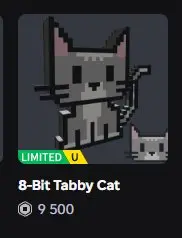 ROBLOX2344//ACCOUNT WITH ACC FOR A GIRL / TOTAL 13K+ RB / NICKNAME Gkintziger12 / 8-BIT TABBY CAT ⸱ 9.5K RAP