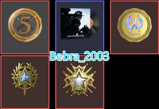 CS2 Prime 786 hours+4Medals(2019-2020 Service Medal/5Y/Global Offensive Badge)