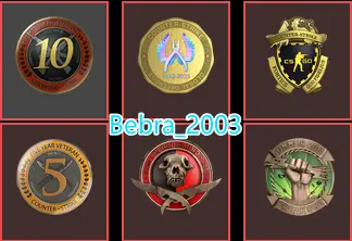 CS2 Prime+6 rare Medals(Operation Breakout Challenge/Operation Bloodhound/10Y/5Y/Loyalty Badge/Global Offensive Badge)