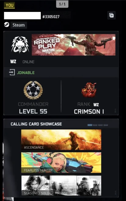 NEW CURRENT SEASON 4 CRIMSON RANK LEVEL 55 WARZONE 5 Handmade   Instant Delivery