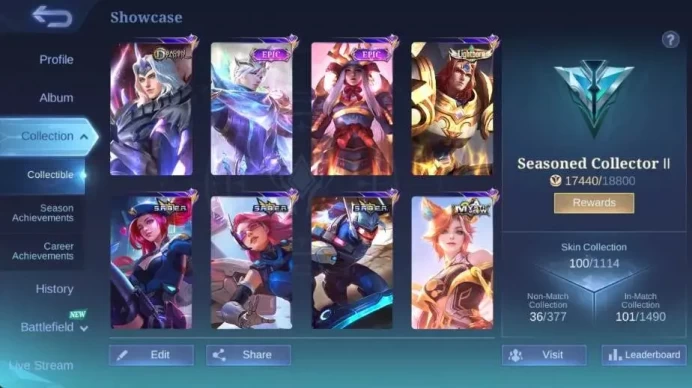 Global|Skin 100|Seasoned|Lightborn Tigreal,SABER Layla+Saber+Rafaela,Meowkin Lesley+Silvanna,DragonT Lance |More Check SS ML2335B