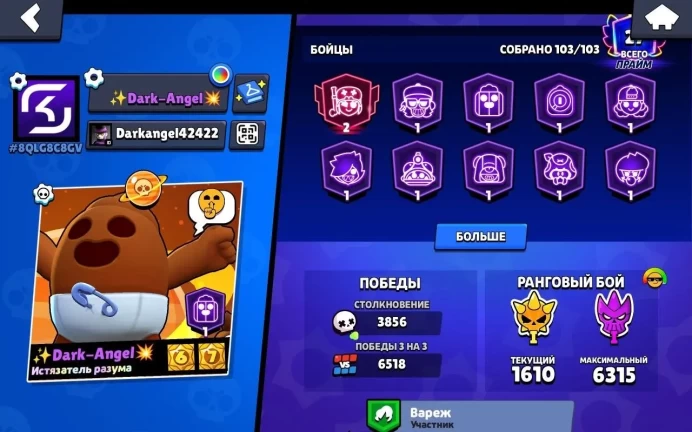 BS1173//Trophies 60986 Brawlers 103 OLD SKINS