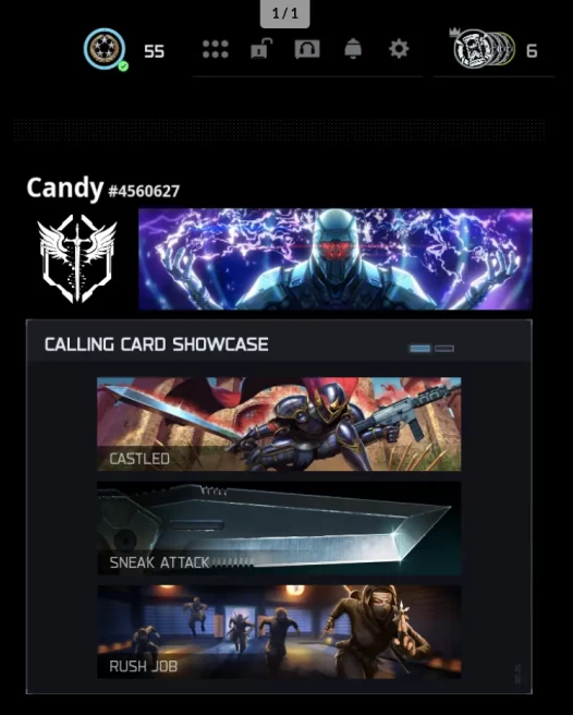 -SlNGULARITY HANDMADE 450+ TOTAL CAMOS 17 OPERATORS FULL ACCESS Singularity XBOX /PS/PC STACKED