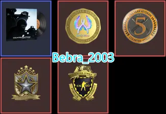 CS2 Prime 694 hours+4Medals(2022 Service Medal/5Y/Loyalty Badge/Global Offensive Badge)