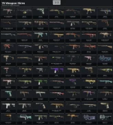 [PC/PSN] | Level 117 | 89 Skins | 46 Operators | 1xBlack Ice | Uplay Account | Full Access | #