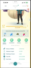 Level 57 ( Instinct) | 955 / 1200 | 223 Legendary | 255 Shiny | Shiny Mewtwo | 40 Perfect IV | 4.6M Stardust | 7 Shiny Legendary | 2018 Account