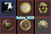 19Game 10 LvL Steam-Rust-CS2 Prime+5Medals(2016 Service Medal/10Y/5Y/Loyalty Badge/Global Offensive Badge)Faceit Ready