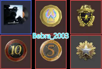 19Game 10 LvL Steam-Rust-CS2 Prime+5Medals(2016 Service Medal/10Y/5Y/Loyalty Badge/Global Offensive Badge)Faceit Ready