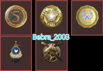 28Game-CS2 Prime 895 hours+5Medals(Operation Riptide Challenge/10 Year Birthday Coin/5Y/2025 Service Medal/Global Offensive Badge)Faceit Ready