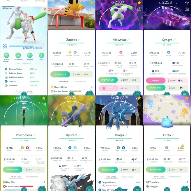 2419 Level 61 Primal Kyogre 100iv. Shiny Mewtwo Shiny GMax Meowth Shiny Zapdos PokePark Kanto Japan BG