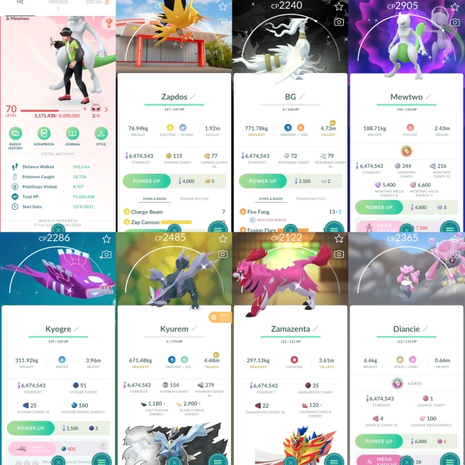 2426 Level 70 Eternatus Shiny Mega Mewtwo X + Y Shiny Zapdos PokePark Kanto Japan BG