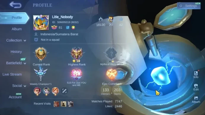 Hero 133|Skin 203|Roger TFormers,Karina KoF,Beatrix PRIME,Nata CC,Sun Lunar,Badang Pegasus,Kadita Create Etc|CheckSS|(MLBB2393)