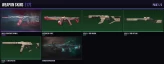 AP 17 Skins + 3 Agents Ruination Phantom / Gaia's Vengeance Vandal / Interhelm Judge Full Access