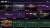 NA 35 Skins + 6 Agents Xenohunter Knife / Sentinels of Light Vandal / Protocol 781-A Phantom Full Access