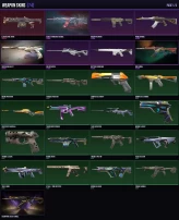 EU/Gold 1 74 Skins + 21 Agents Arcane Gauntlets / Champions 2023 Vandal / Reaver Karambit Full Access