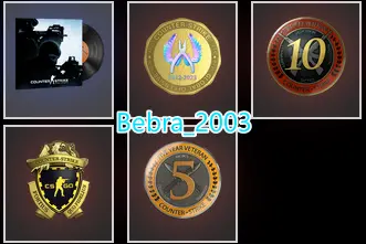 10 Lvl Steam-18Game-CS2 Prime 114 hours+4Medals(10Y/5Y/Loyalty Badge/Global Offensive Badge)-Faceit Ready