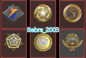 Dota 2(4571MMR)-CS2 Prime 635 hours+6Medals(2021-2024-2025 Service Medal/5Y/Premier Season One Medal/Off Badge)-Faceit Ready