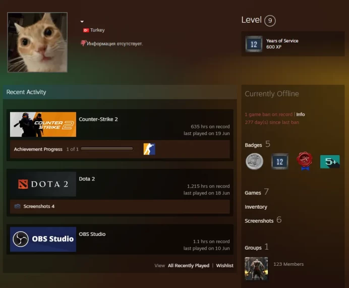 Dota 2(4571MMR)-CS2 Prime 635 hours+6Medals(2021-2024-2025 Service Medal/5Y/Premier Season One Medal/Off Badge)-Faceit Ready