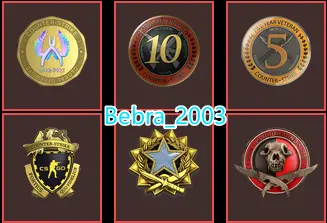 CS2 Prime 591 hours+6Medals(Operation Bloodhound/2017 Service Medal/10Y/5Y/Loyalty Badge/Global Offensive Badge)