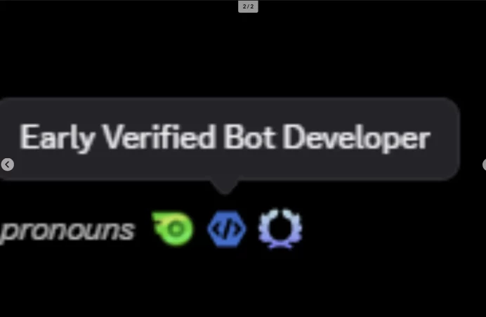Discord Early Verified Bot Developer + Emerald Badge + 2019 Creation Date