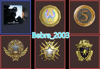 22Game-Rust-CS2 Prime 576 hours+5Medals(2019-2021 Service Medal/5Y/Loyalty Badge/Global Offensive Badge)-Faceit Ready