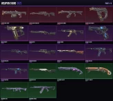 NA 65 Skins + 15 Agents + 999 VP + 220 RP Champions 2021 Vandal / Elderflame Vandal Full Access