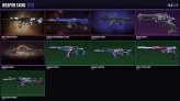 EU/exp Diamond 1 26 Skins + 13 Agents ORA by OneTap Vandal / Radiant Entertainment System Phantom Full Access