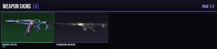 EU 4 Skins + 2 Agents Montage Spectre / Stormborne Guardian / Stormborne Sheriff / Superset Marshal Full Access