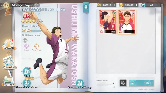SEA |Lvl 29|1 SP (Kenma Term-End)+Memo|2 UR (Kageyama,Ushijima)|8 SSR (Hinata,Ryunosuke)+Memo,lev Haiba,Etc|Log Google|HFH1087