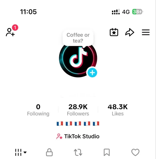France Monetized Account Creator Rewards Program Active | 28.8k Real Followers & 48.3k Likes | Live Acess+ Full Access +Acc in Good Standing
