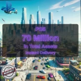 PS5 Level 30 + 70 Million in Total Assets ( 30 Million Pure Cash + 40 Million in Cars ) #LOT-143237