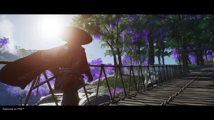 Ghost of Tsushima: Director's Cut - PS4 PS5 - P2 (K3)