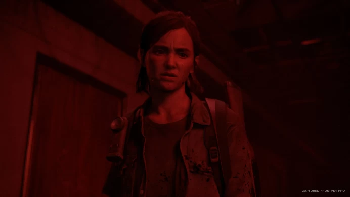 The Last of Us Part II - PS4 PS5 - P2 (K3)