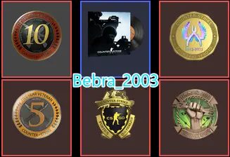48 Lvl Steam-35Game-CS2 Prime 476 hours+5Medals(Operation Breakout Challenge/10Y/5Y/Loyalty Badge/Global Offensive Badge)-Faceit Ready
