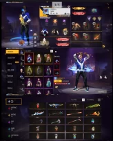 66 LvL 274 Weapon Skins 38 Mystic 72 Epics 143 Rare South America Spanish server 85 Full Sets 219 Shirts 152 Pants 24 Emote