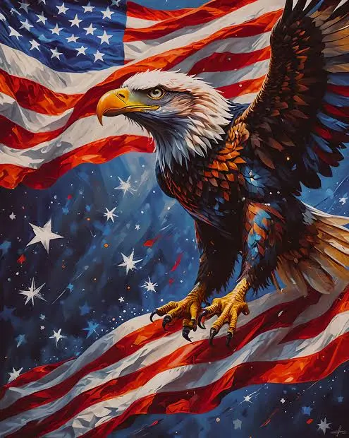 ( Aged 2024 ) USA / United States of America | up to 100+ Real Permanent followers | buy 1 and get 1 FREE | Never Banned | INSTANT-DELIVERY