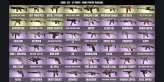 [PC + XB] ⭐【165 SKINS】✅【74 Operators】 ✅ LVL 229 ✅ READY RANKED ✅ STRIPWOVEN, METALLURGIC BURN, RED DEVIL, GIFT-WRAPPED, SLEEP TIGHT 2019 ✨