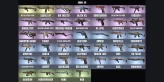 [PC + XB] ⚡【46 SKINS】✅【52 Operators】 ✅ LVL 83 ✅ READY RANKED ✅ FULL GAME ✅ SADDLE UP, METALLURGIC BURN, CORSAIR®, COLISEUM POLYMER, BLACK ICE ⭐