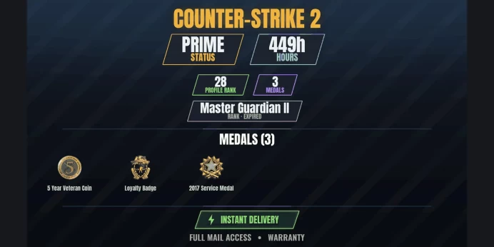 【9 Games】【CS2 Prime Premier✨449h✅3 MEDALS⚡28 LVL】 2017 Service Medal, Loyalty Badge, 5 Year Veteran Coin | PAYDAY 2, Paladins, SMITE, Unturned