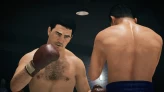 Undisputed | Steam Account | Full Access | PC | Standard Edition