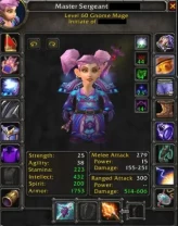Wow Season Of Discovery | Level 60 Gnome Mage | 6x T2 MQG | 300 Engineering Alchemy First Aid | 100% Mount