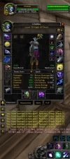 Wow Season Of Discovery | Night Elf Druid Level 70 | 2121 GS Healer / 2153 GS Feral | 280% Flying