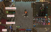 Drakensang Online EU | Spellweaver Level 100 | 4x PvP Mountable Animals