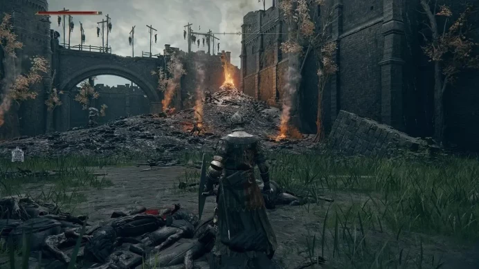 Elden Ring | Steam PC | Full Access | Email Included