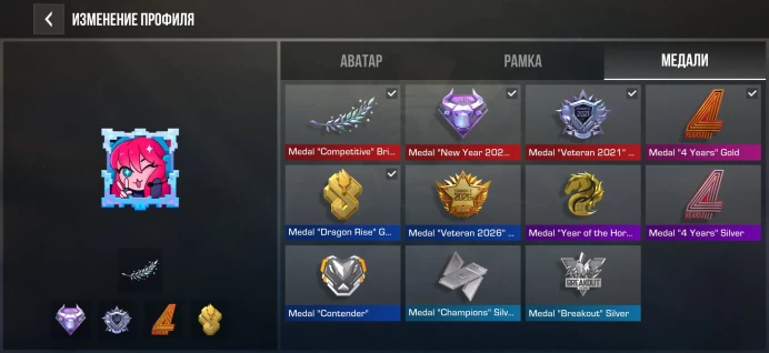 Standoff 2 | Rare Medals | Competitive Arcane | Calibration Rank