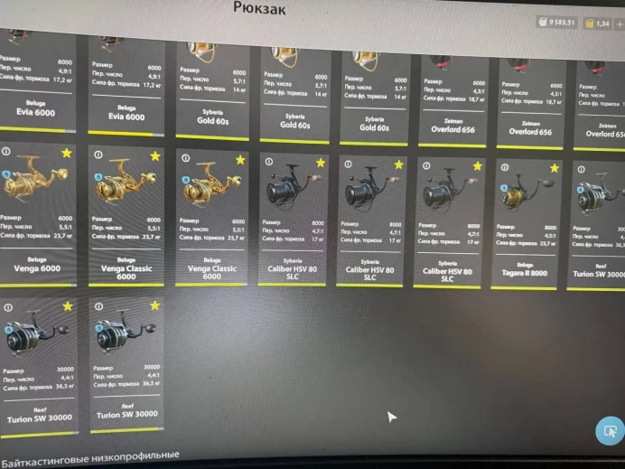 Russian Fishing 4 | Level 48 Account | Valid Email Included