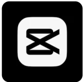 Code B848] CapCut Pro 8 Month + 400 Crédit / Login Web / No Access mail 