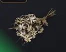 Dead Flowers
